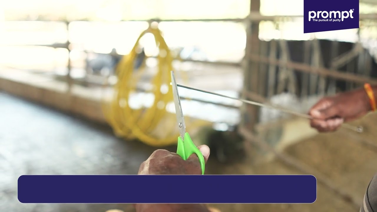 Prompt Breedeasy Artificial Insemination Gun