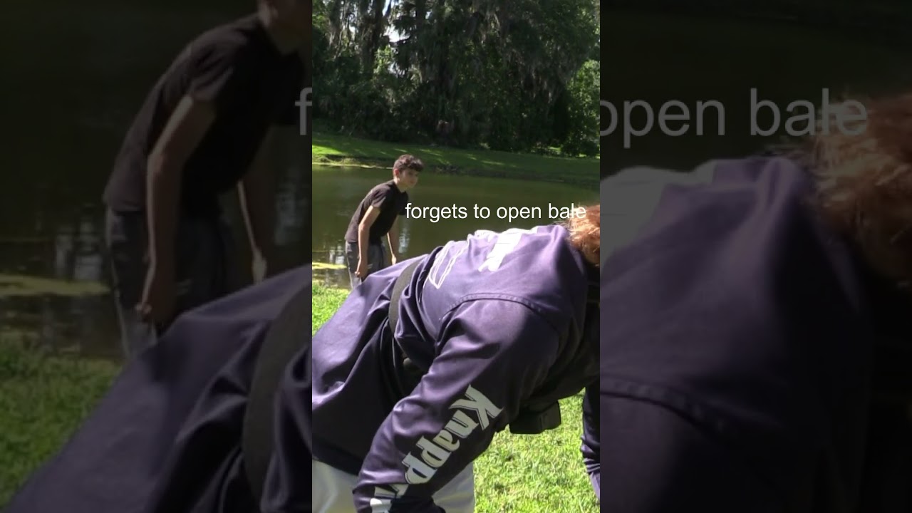 catfish pulls rod in the water!