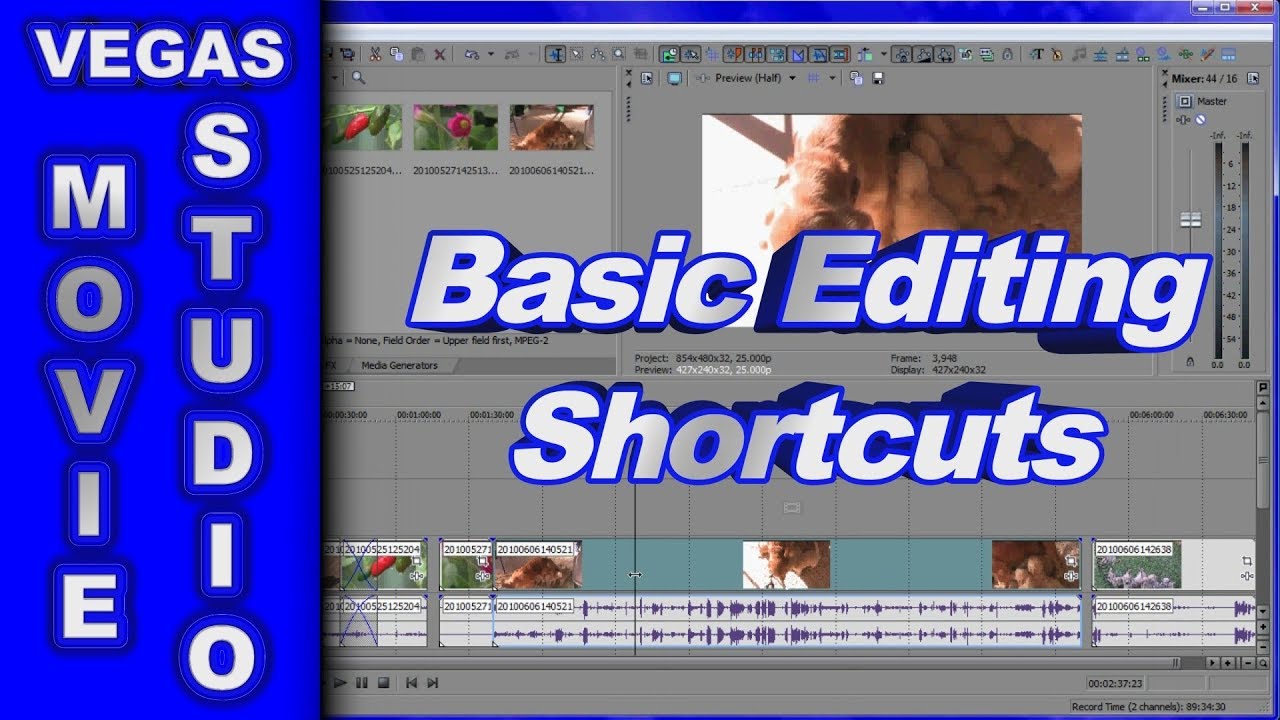 Beginners Guide for Sony Vegas Movie Studio HD Platinum 10