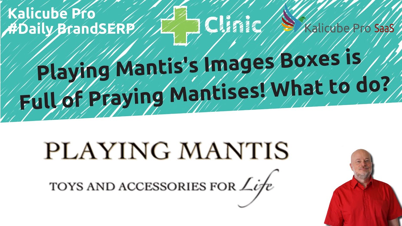Playing Mantis&rsquo;s Images Boxes is Full of Praying Mantises! What to do? Kalicube #DailyBrandSERP