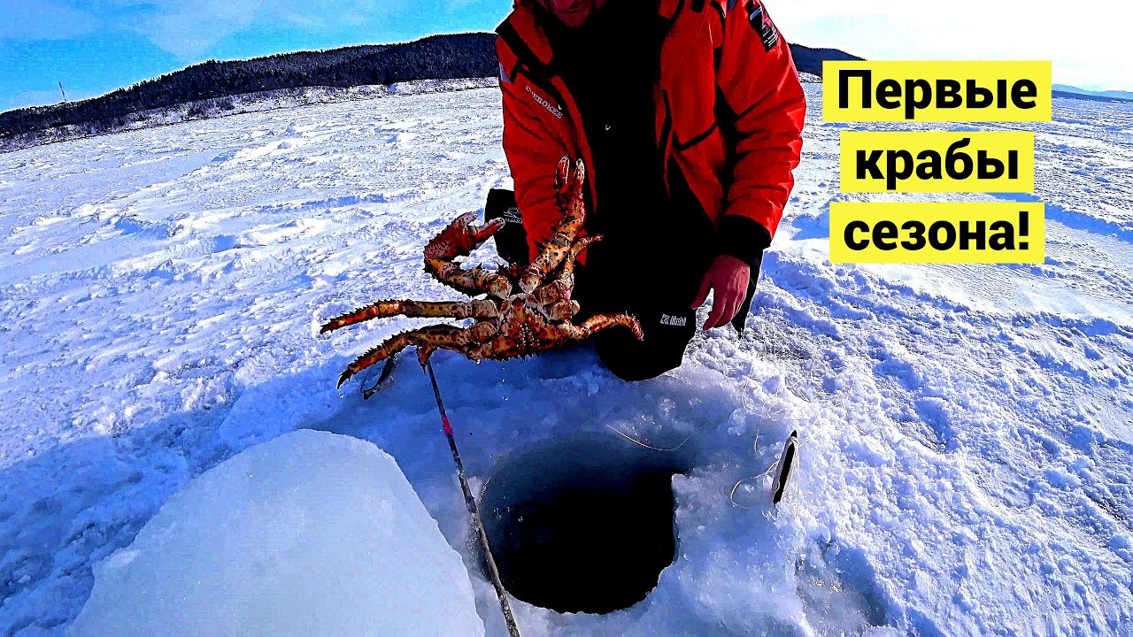 Первые крабы сезона! 🦀 // (Eng Subs)