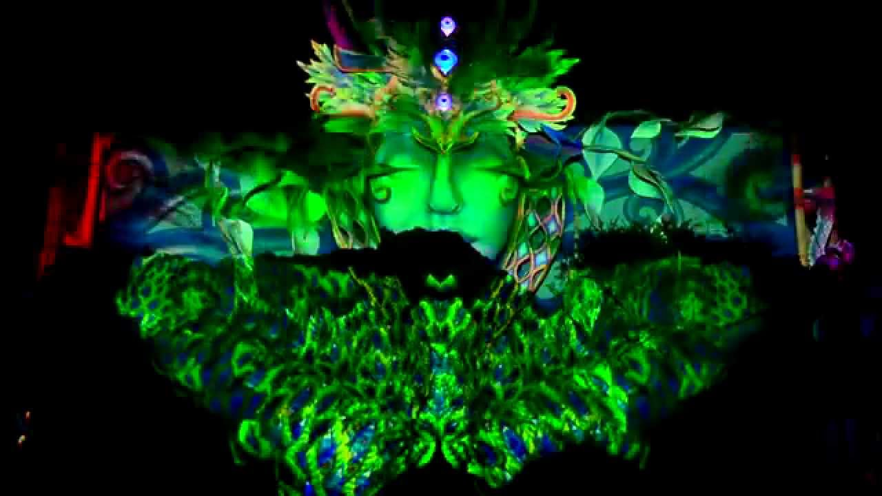 BOOM FESTIVAL 2014 dance temple Face projections with Penta DJ pt2