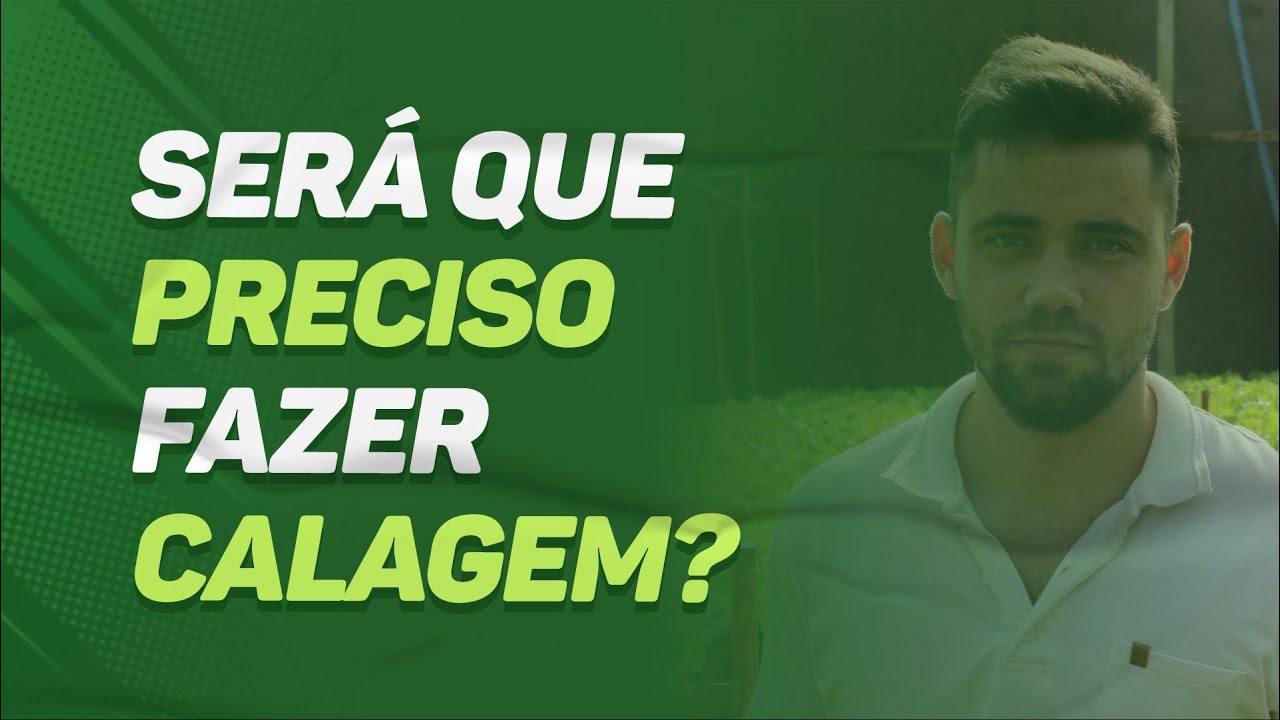 SER&Aacute; que PRECISO fazer CALAGEM?