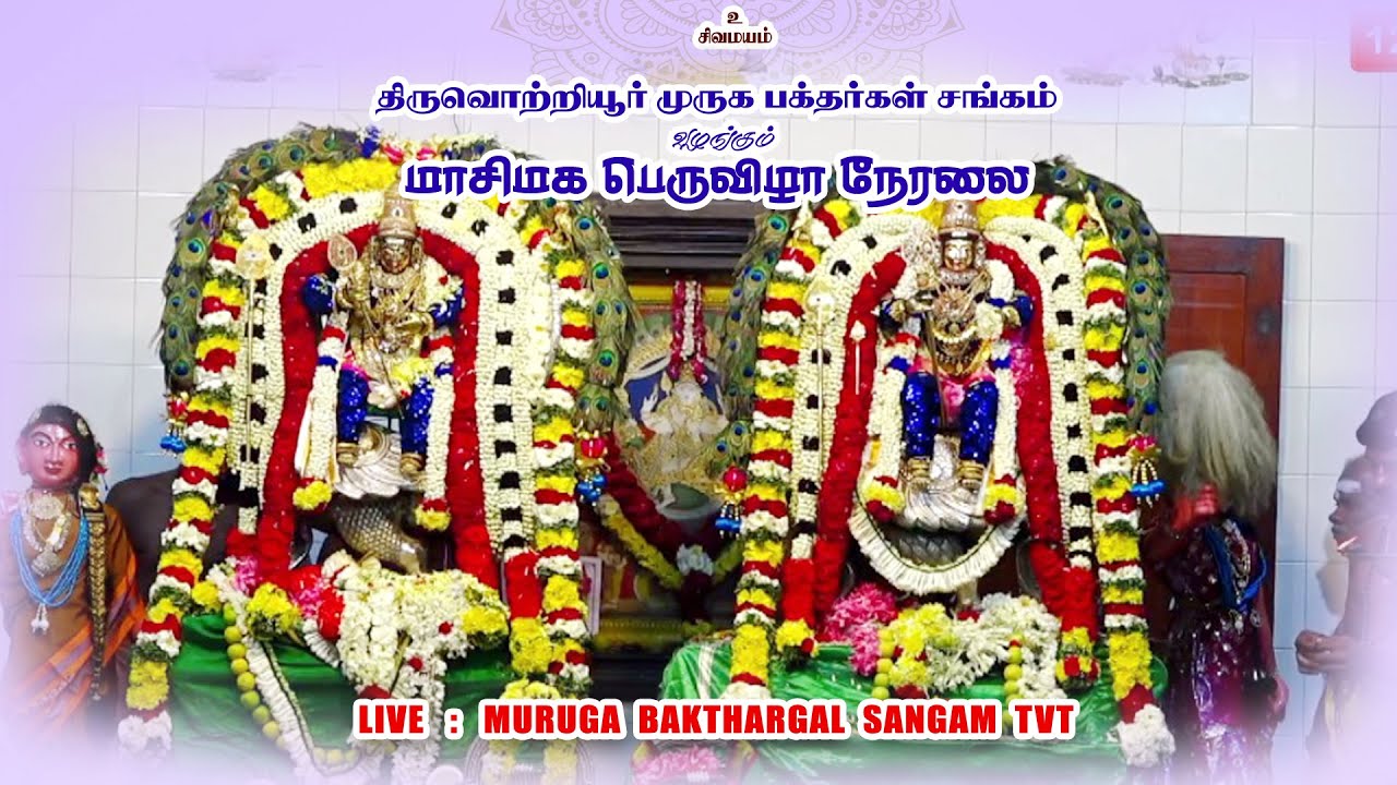 திருவெற்றியூரில் எழுந்தருளியுள்ள தண்டாயுதபாணி மாசி மக பெரு விழா | 02.03.2026
