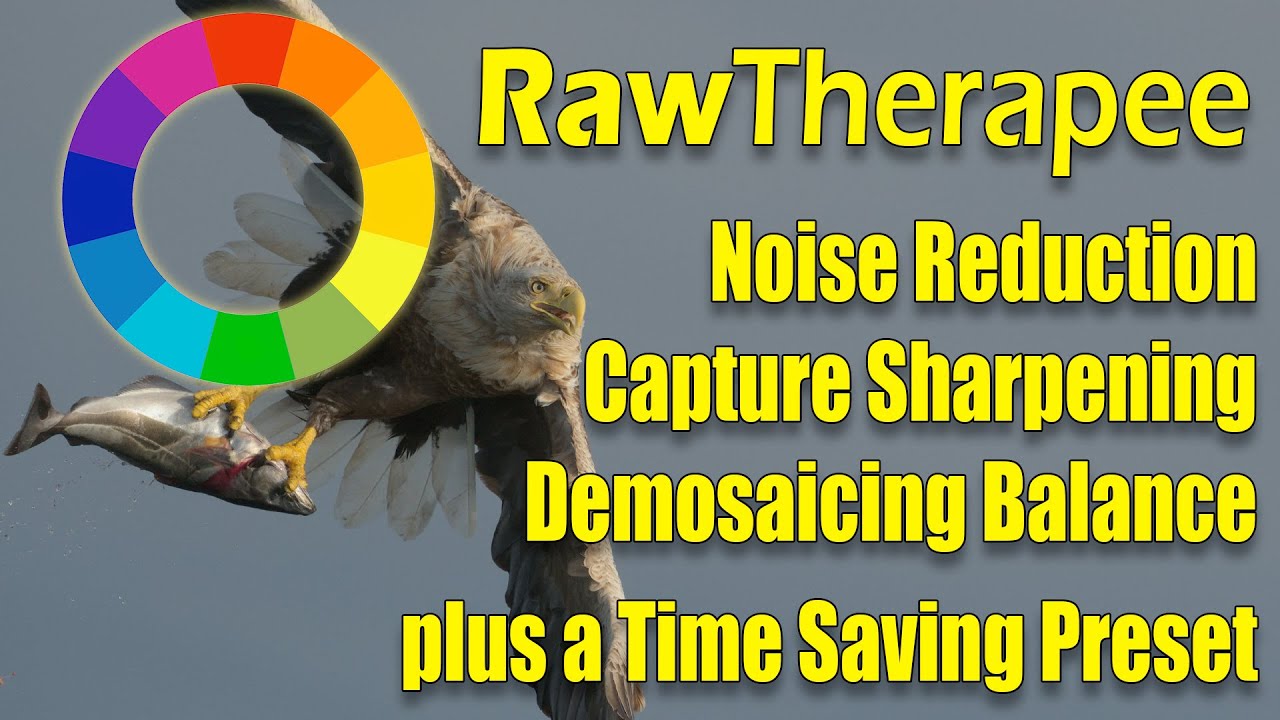 RawTherapee: Noise Reduction, Capture Sharpening & Demosaic Balance + But First a Time Saver Preset.
