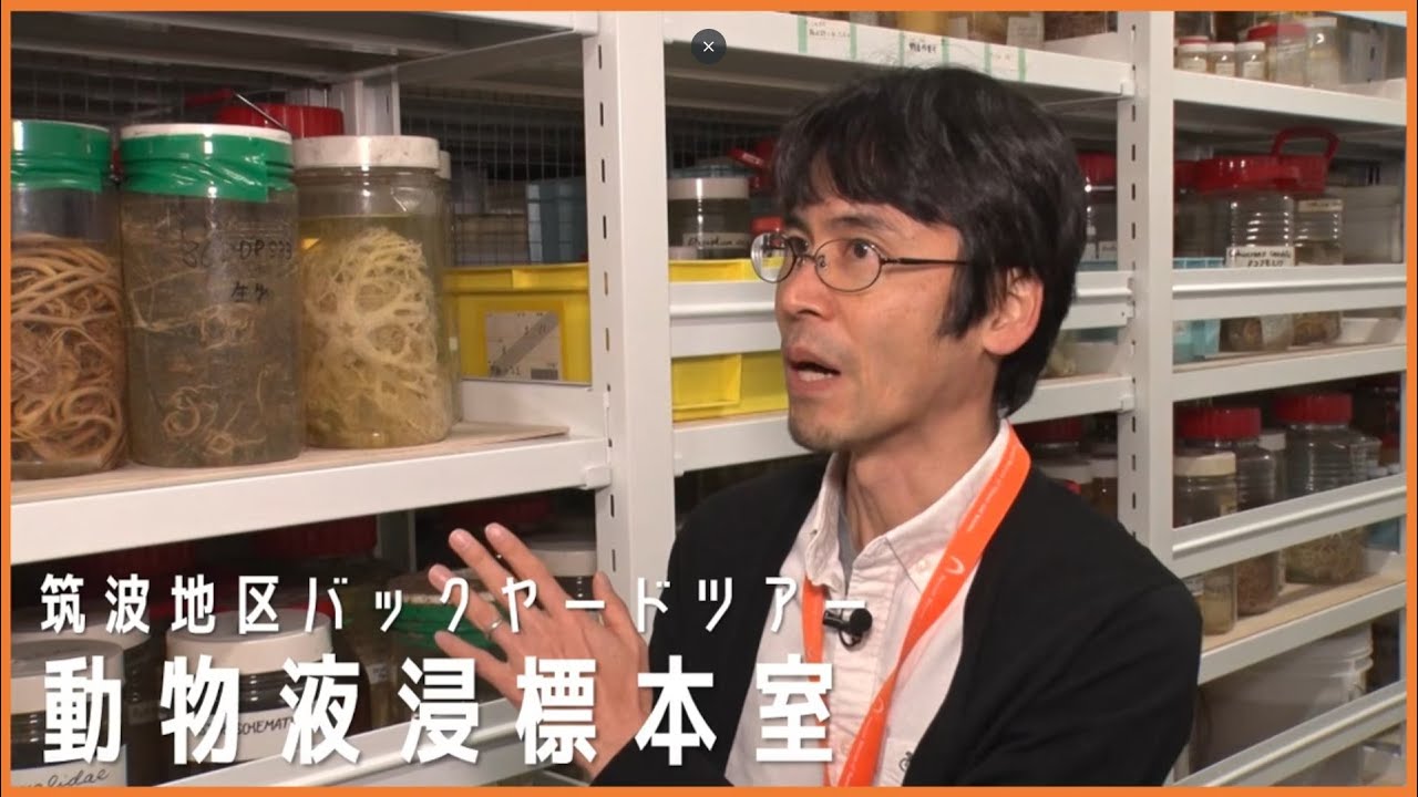 国立科学博物館　筑波地区バックヤードツアー「動物液浸標本室」