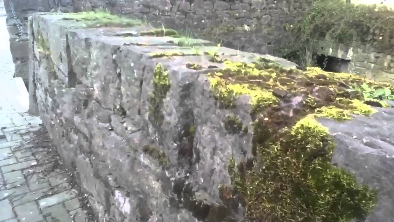 Rathdowney, Laois, a heritage tour