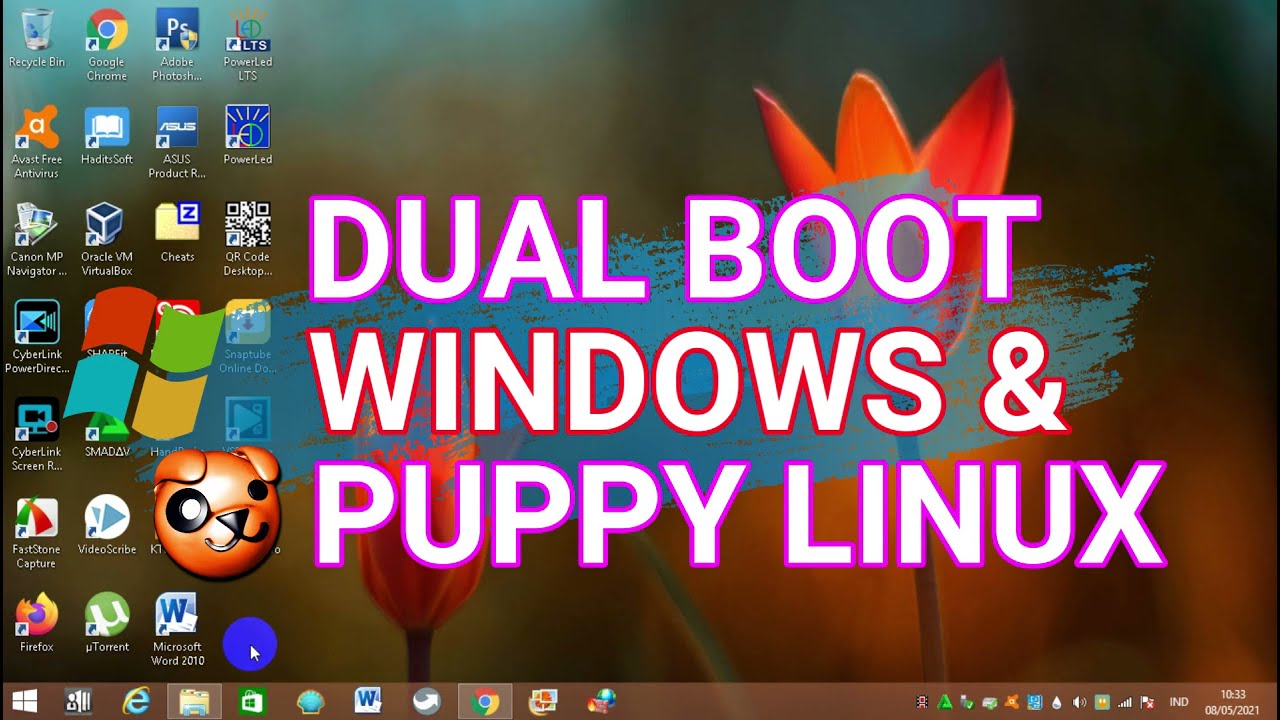 Puppy Linux Dual Boot with Windows