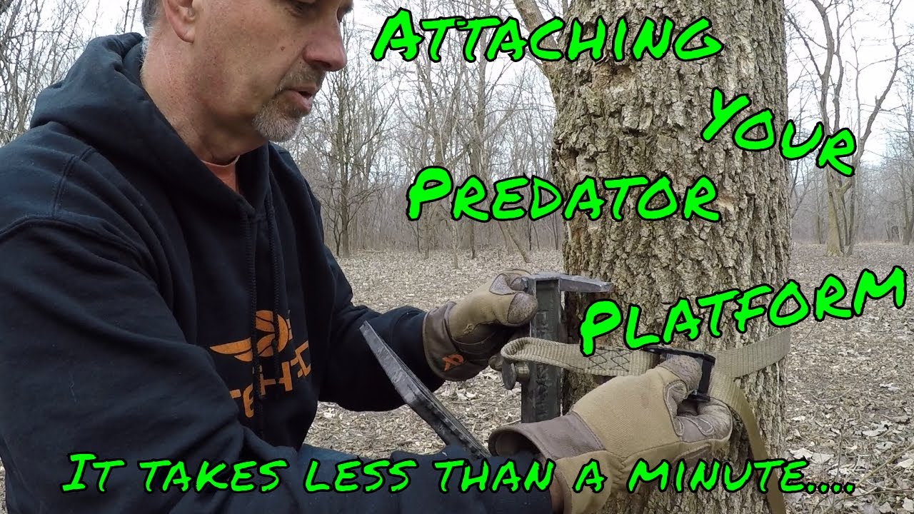 Predator Platform by Tethrd how to install.