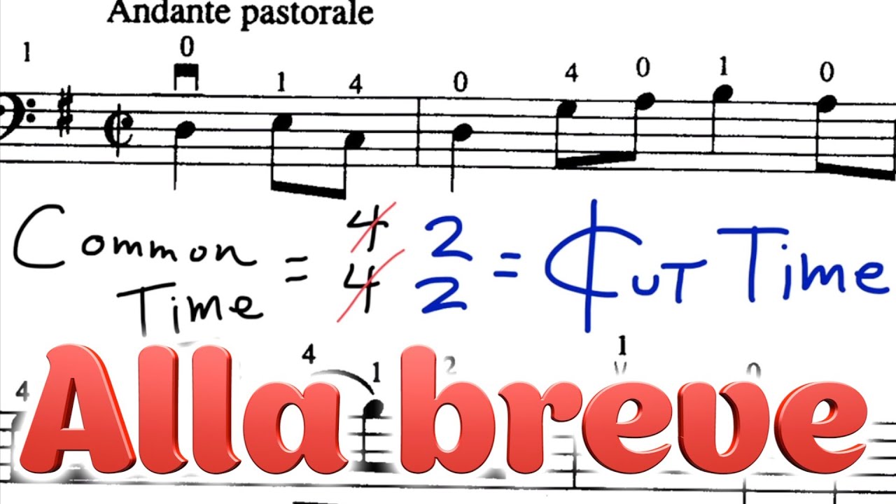 Common Time vs Cut Time | Online Cello Lessons