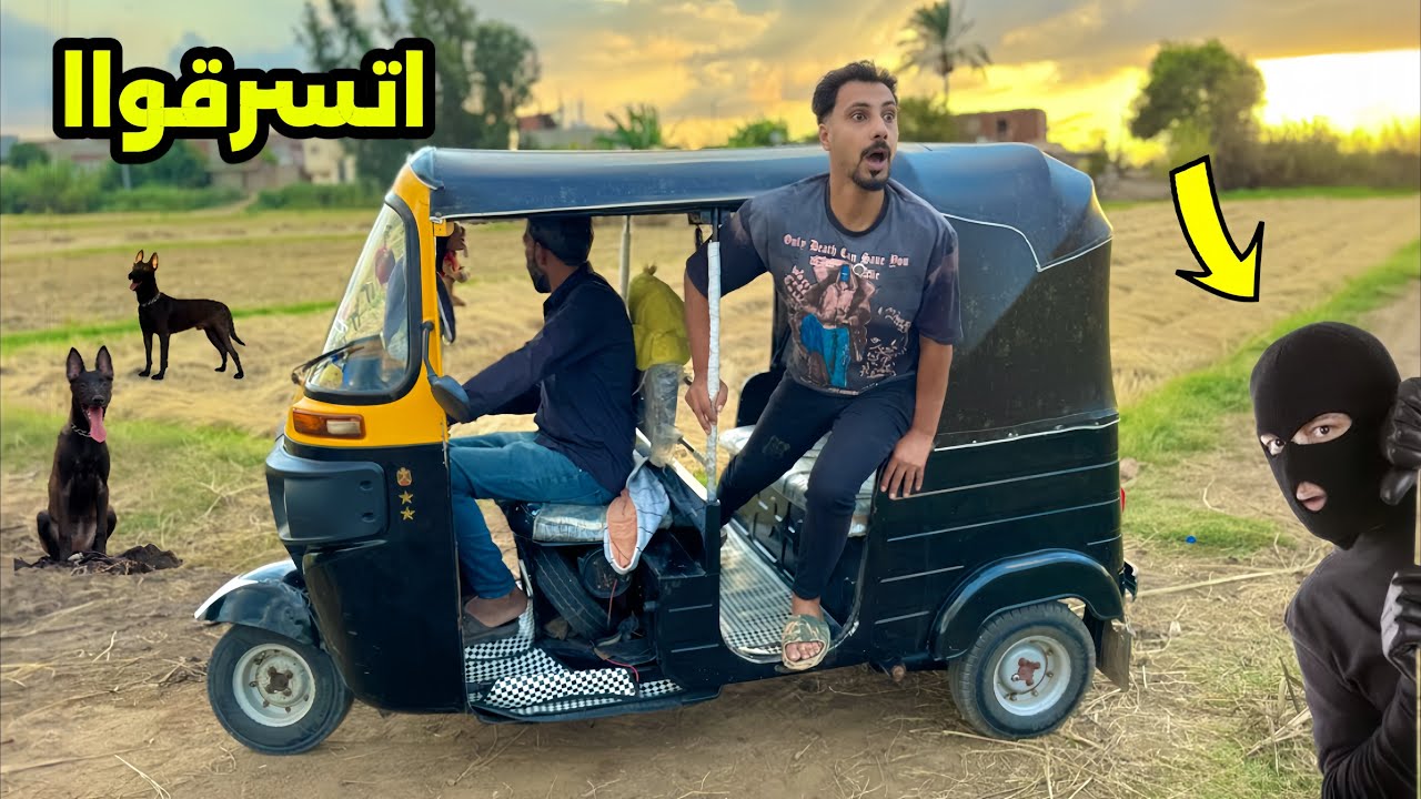 كلابي كلها اتسرقت وبحثت عليهم في كل مكان || ولكن !!