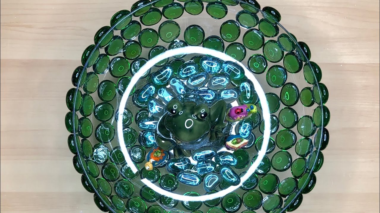 Долларовое дерево своими руками || Поилка для птиц