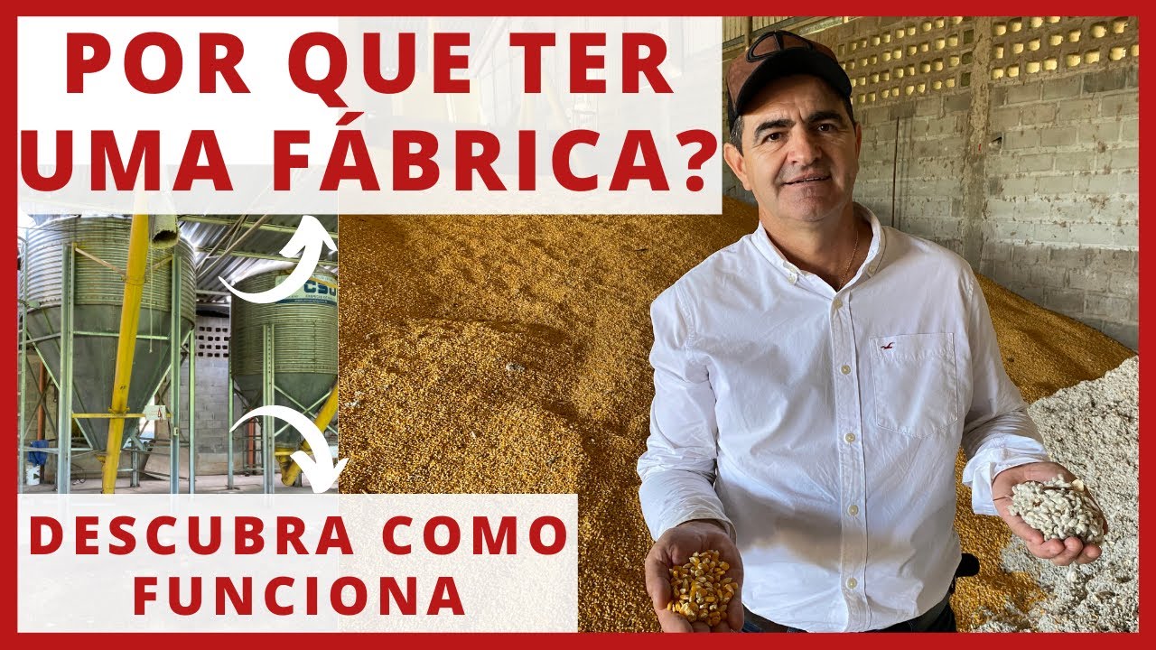 PASSO A PASSO da FÁBRICA DE RAÇÃO para gado leiteiro - NUTRIÇÃO de VACAS DE LEITE