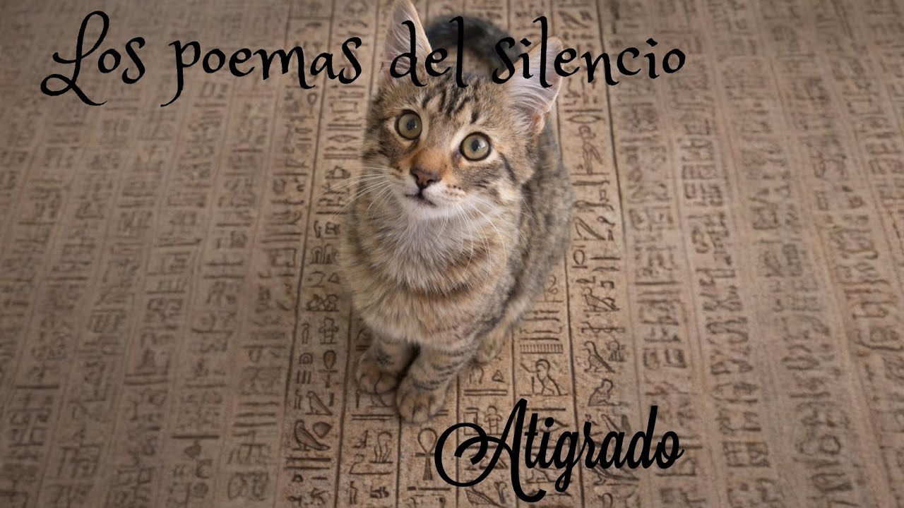 Los poemas del silencio 
