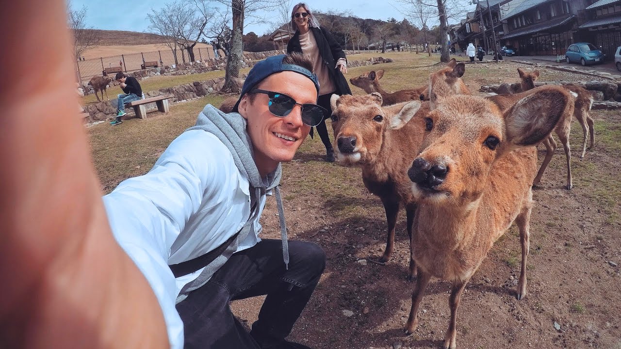 Město srnek / Nara, Japonsko