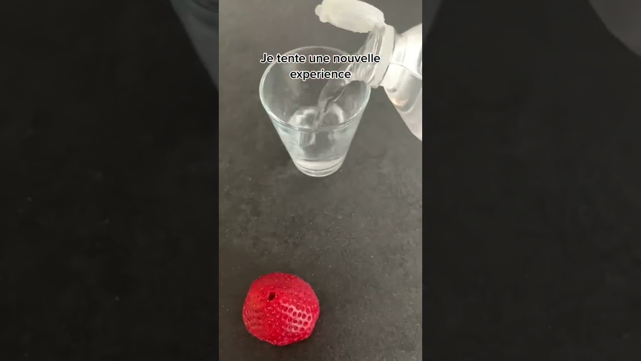 Exp&eacute;rience fraises congel&eacute;es 🍓