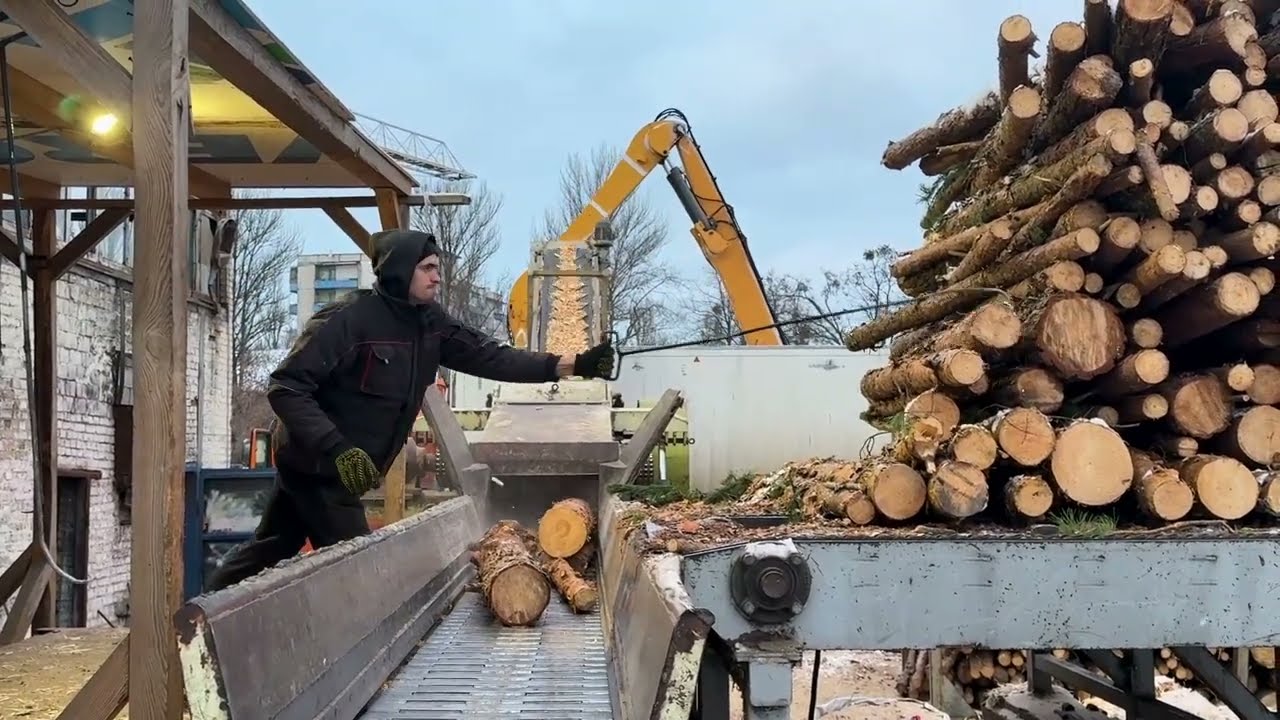 Ultimate 24/7 Marathon Of Massive Timber Shredding