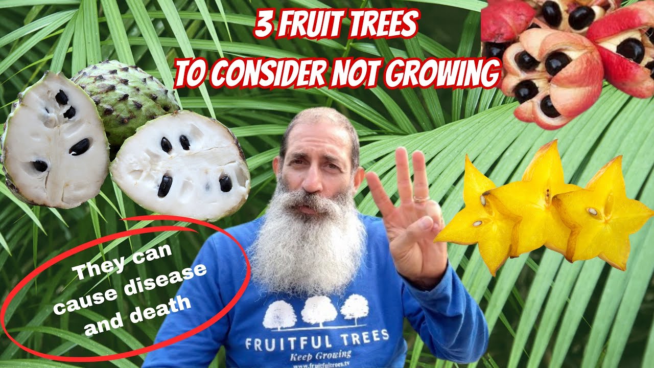 3 Popular Fruit Trees To Reconsider Planting