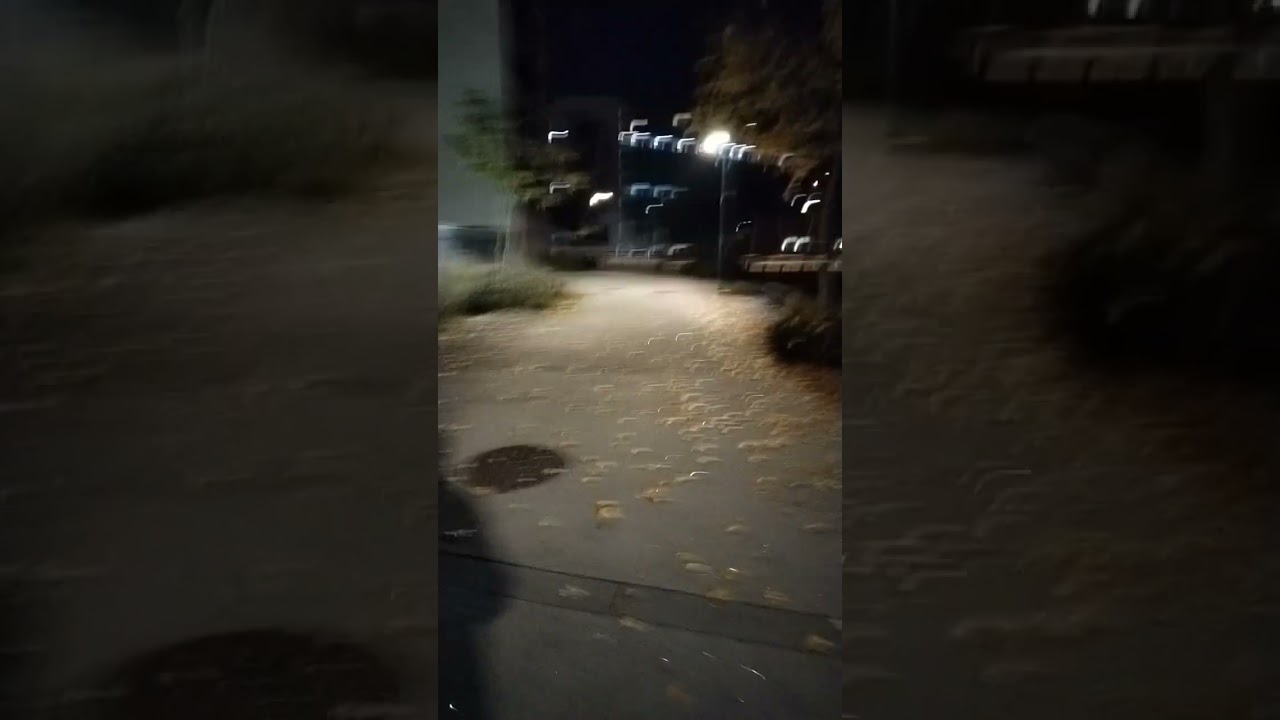 quartier la reynerie