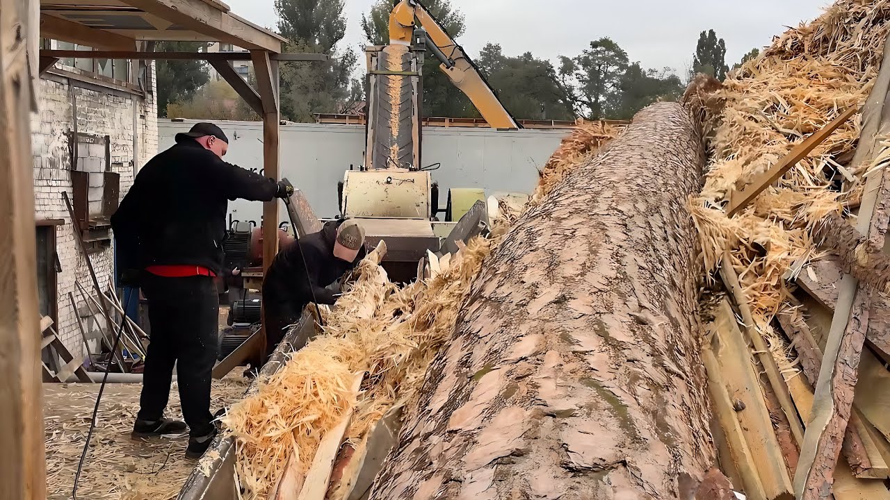 DANGEROUS TEST — When Size Breaks Control.