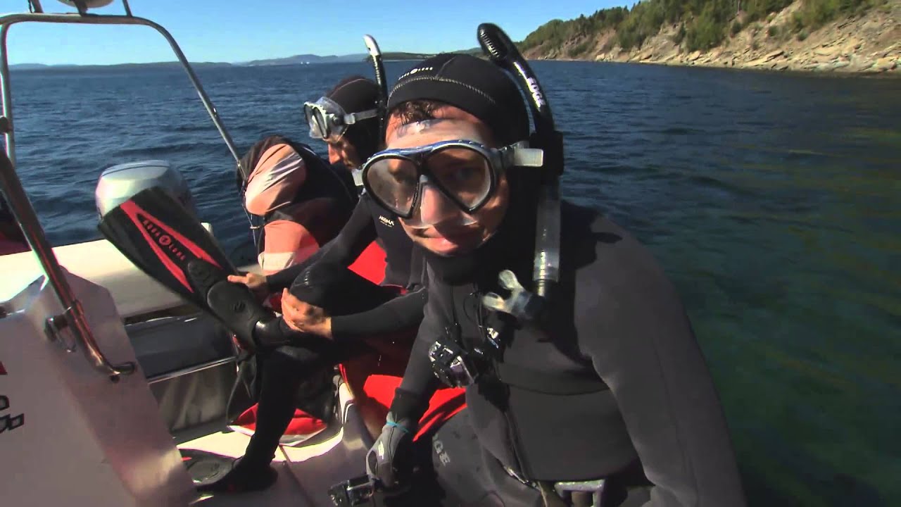 RMR: Rick Goes Snorkelling with Seals