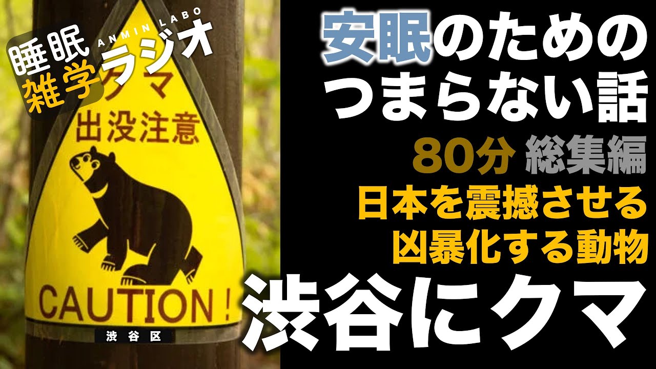 【睡眠ラジオ】安眠のためのつまらない話 『渋谷にクマ 日本を震撼させる凶暴化する動物80分総集編』【睡眠導入 作業用 聞き流し BGM 】