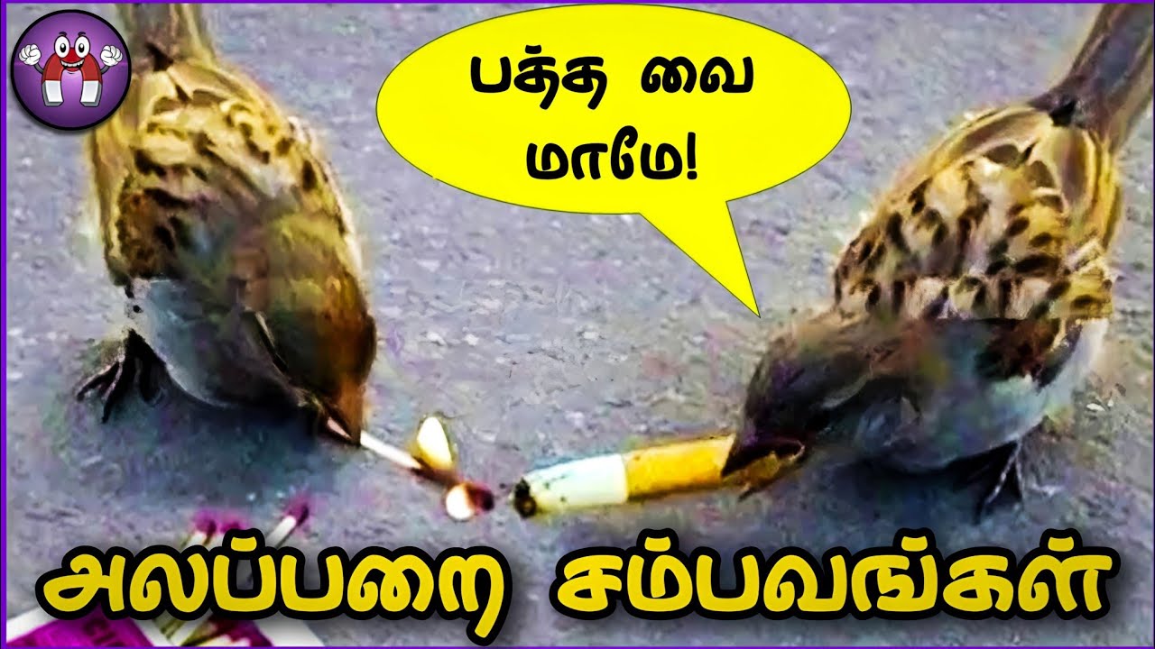 அலப்பறையான ANIMAL சம்பவங்கள் | Funny Animal Moments | Pt.2 | The Magnet Family 2.0