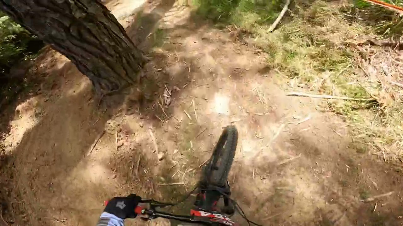 Bottom section of the NZDH at 440 