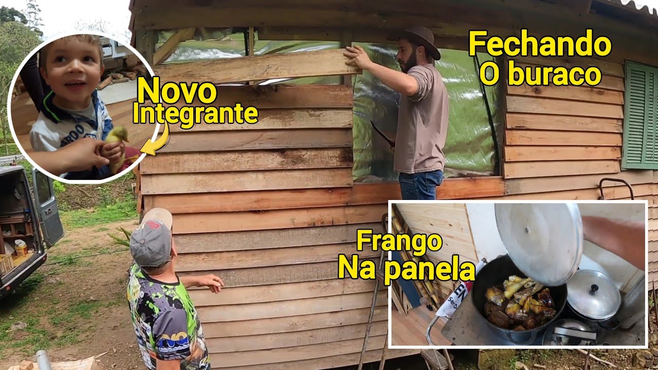 FRANGO CAIPIRA COM MASSA/CONSERTANDO O BURACO DA JANELA/GANHAMOS UM FILHOTE DE GANSO