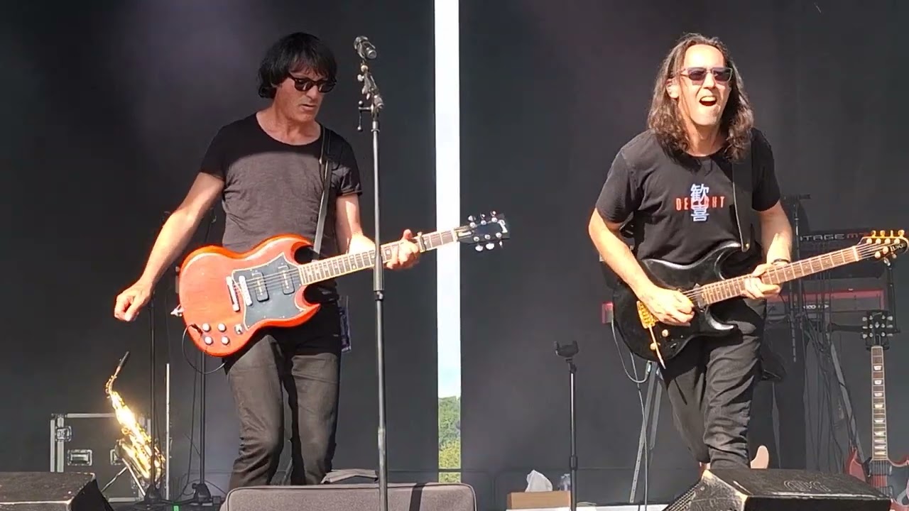 Concert Tribute Goldman