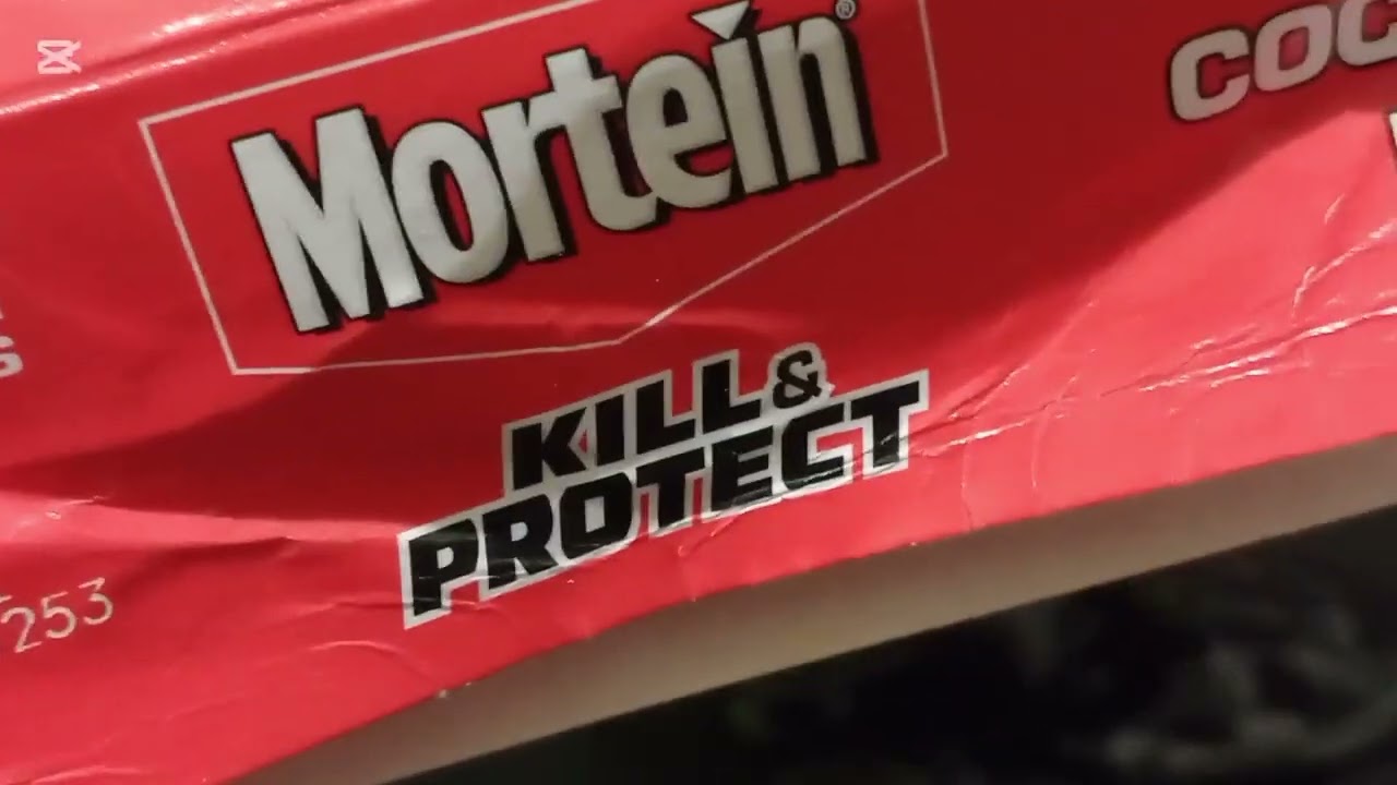 Effective Cockroach Bait #cockroach #bait