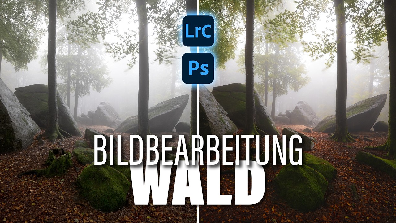 So bearbeite ich meine WALD FOTOS (Workflow 2026) | Lightroom und Photoshop