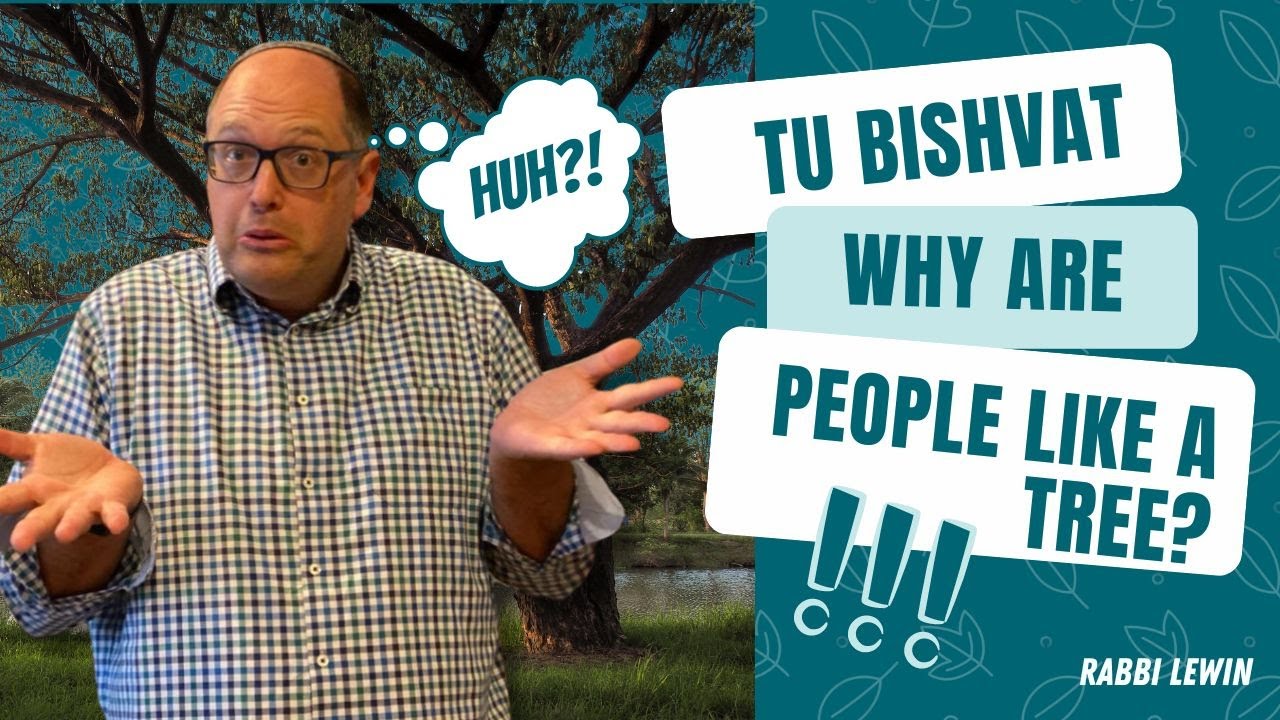 Tu Bishvat Why is a Person Like a Tree?