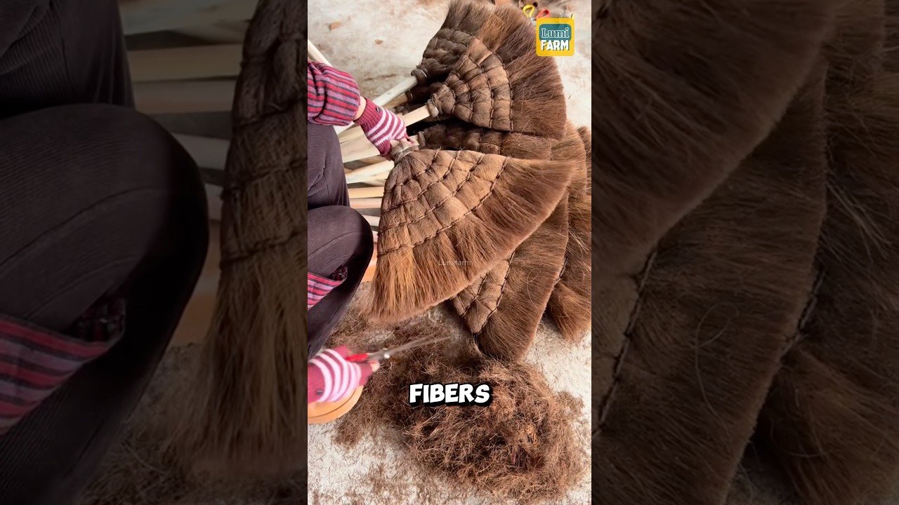 How do the Chinese make palm leaf brooms? #palm #shorts