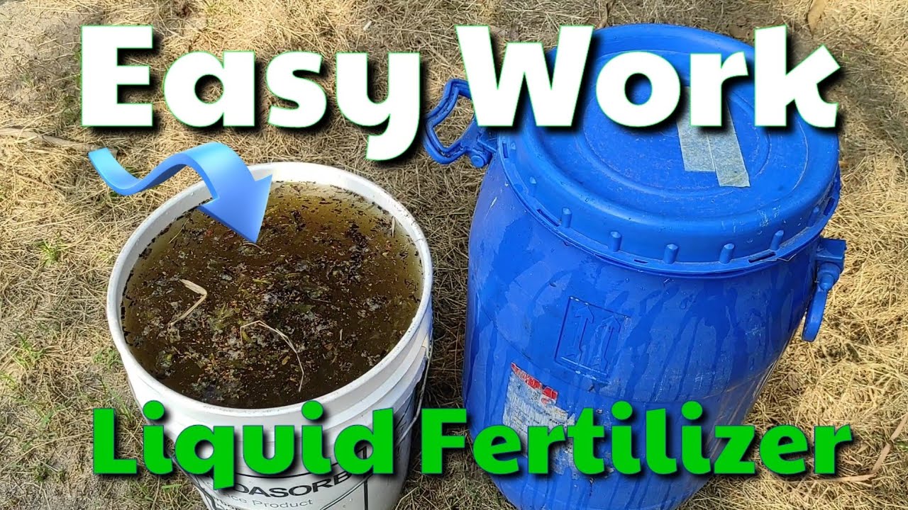 JADAM Liquid Fertilizer | No-Cost Liquid Fertilizer