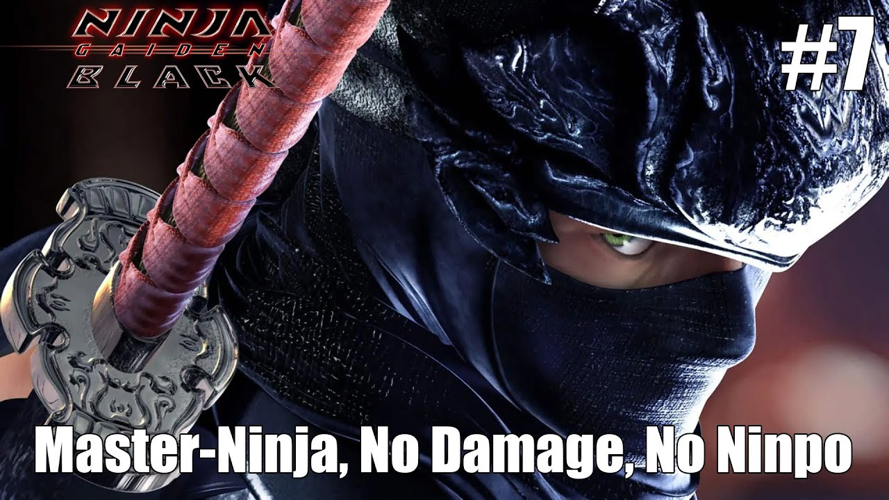 Ninja Gaiden Black Master-Ninja, No Damage, No Ninpo #7
