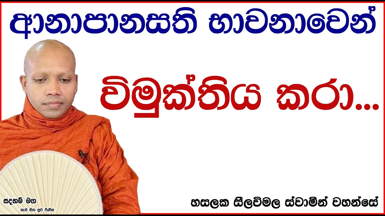 ආනාපානසති භාවනාවෙන් විමුක්තිය කරා...2702Ven Hasalaka Seelawimala Thero