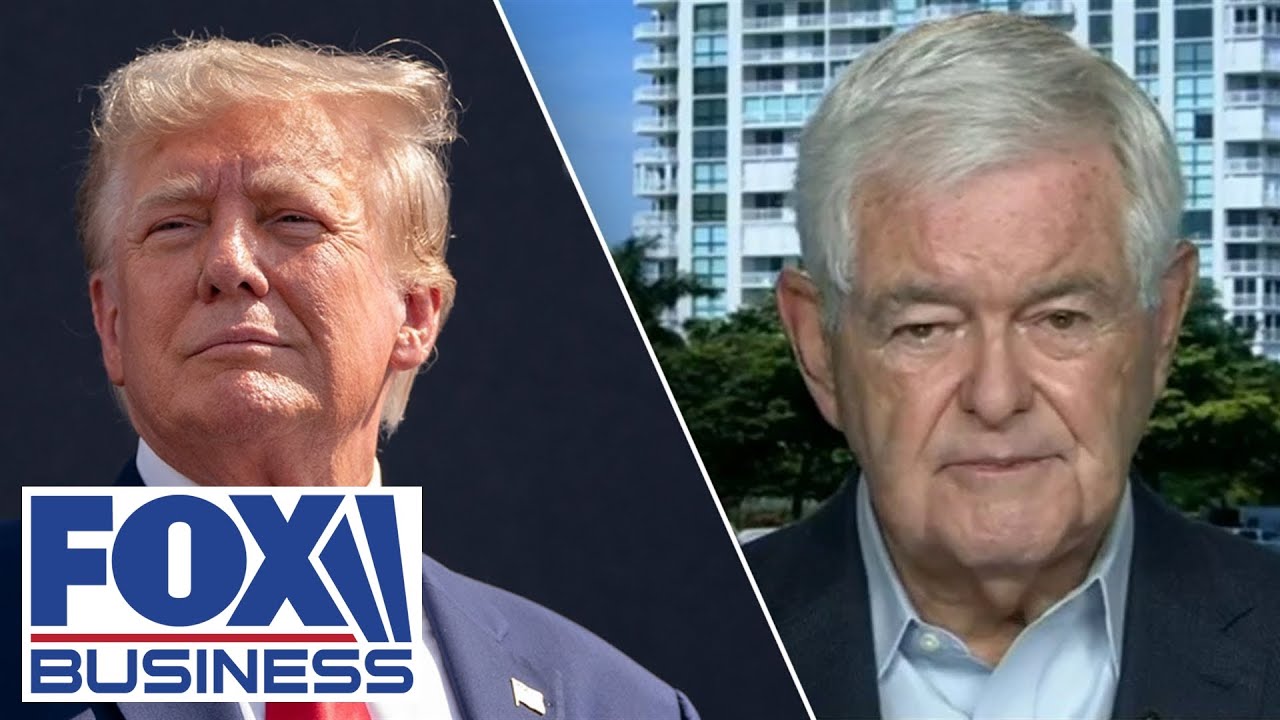 Gingrich: This is ‘just one more assault on Trump’
