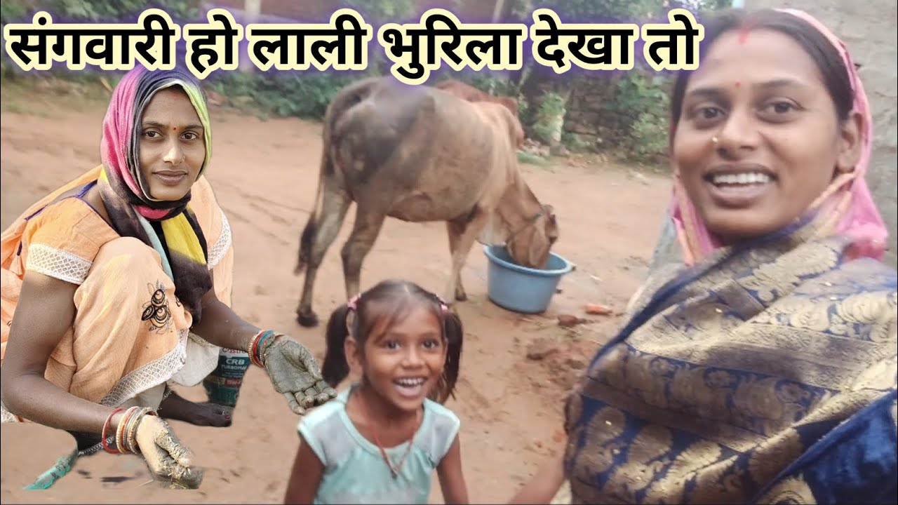 संगवारी हो लाली बुरी ला देखा तो सरस्वती साहू cg vlog 
