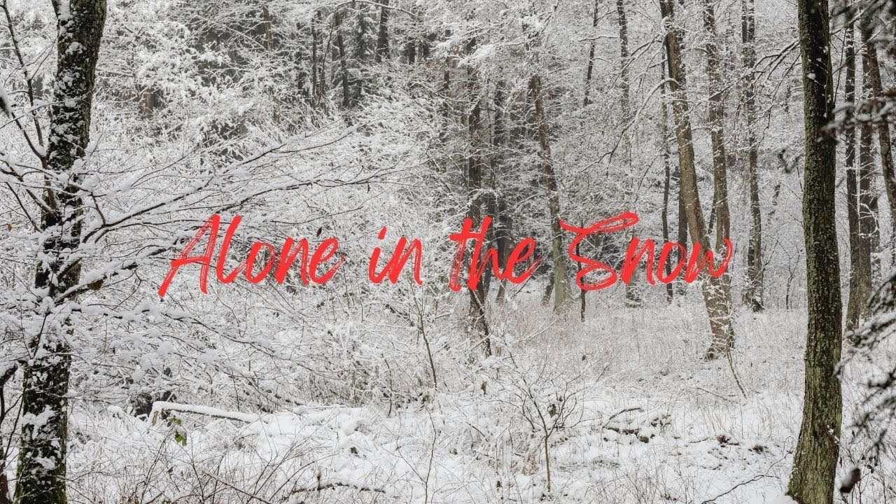 YouTube   Winter Settings