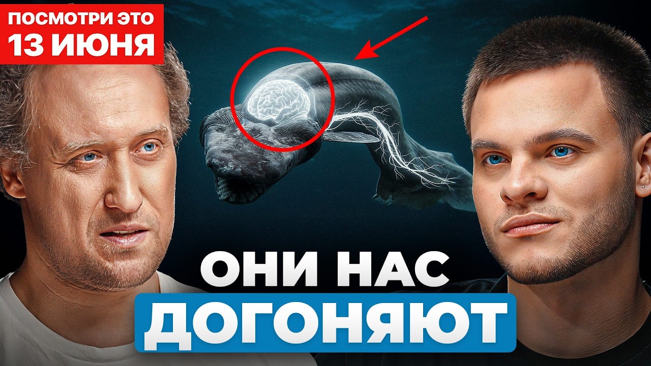 Мы НЕ ОДНИ разумные в этом МИРЕ? Эти животные догоняют НАС! Биолог МГУ - Михаил Никитин