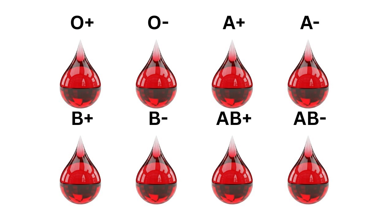 Every Hidden Disadvantage of your Blood Type Explained.