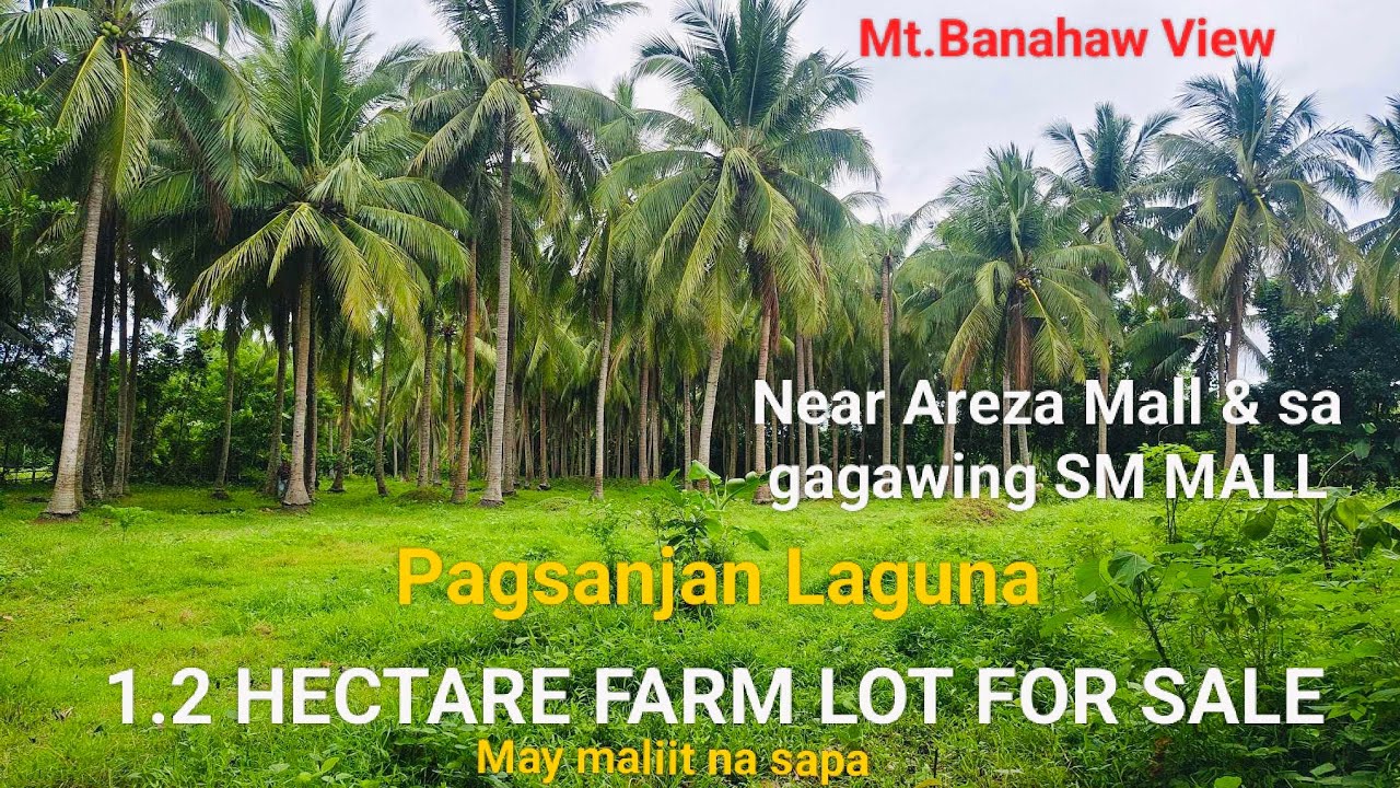 #Vlog337 FARM LOT FOR SALE in PAGSANJAN LAGUNA NEAR SA AREZA MALL AT SA GAGAWING SM MALL