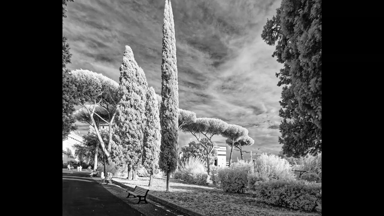 Black & White Infrared, Rome, Italy 10/19/25, 8K Slideshow