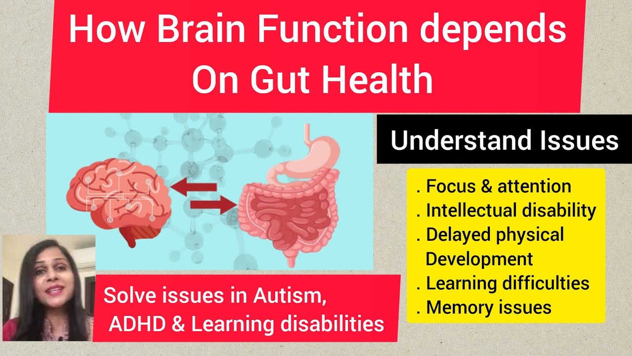 How does brain function depend on Gut health? Fact you must understand for better learning & focus