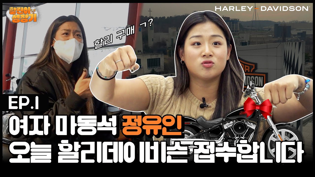 [EP.1] 바린이 필수 시청! 할리 입문을 위한 꿀팁 대방출! ㅣ할린이 성장기ㅣ할리데이비슨ㅣharleydavidson