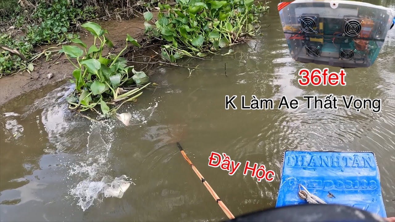 Đầy Hộc Cá Nhờ Sức Mạnh Kích Điện Tử 36fet Cá K Còn Đường Thoát | Kích Cá Miền Tây | Catch Fish