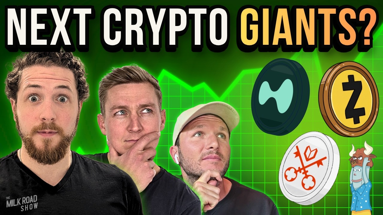 Hyperliquid, Venice & Zcash: The Next Crypto Leaders?