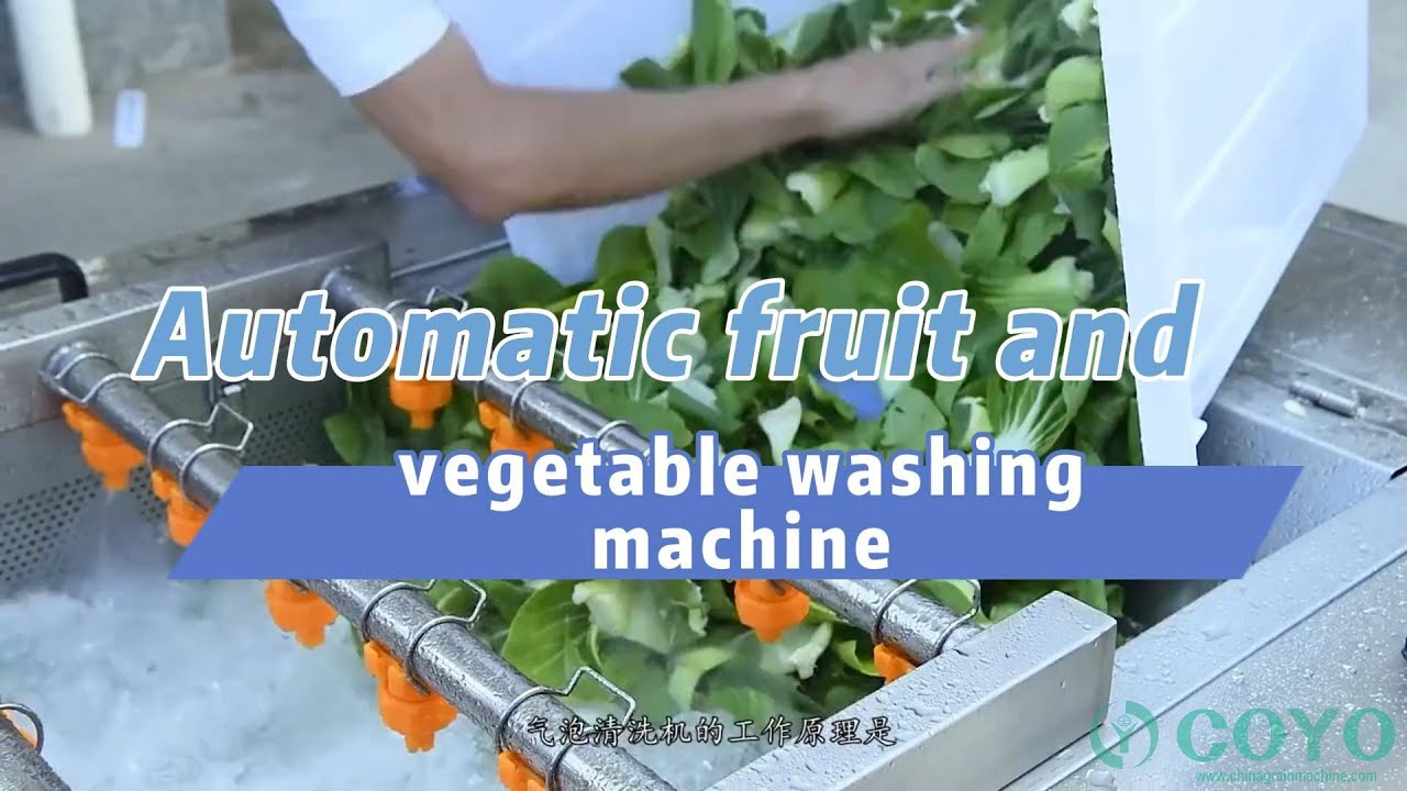 Automatic fruit and vegetable washing machine