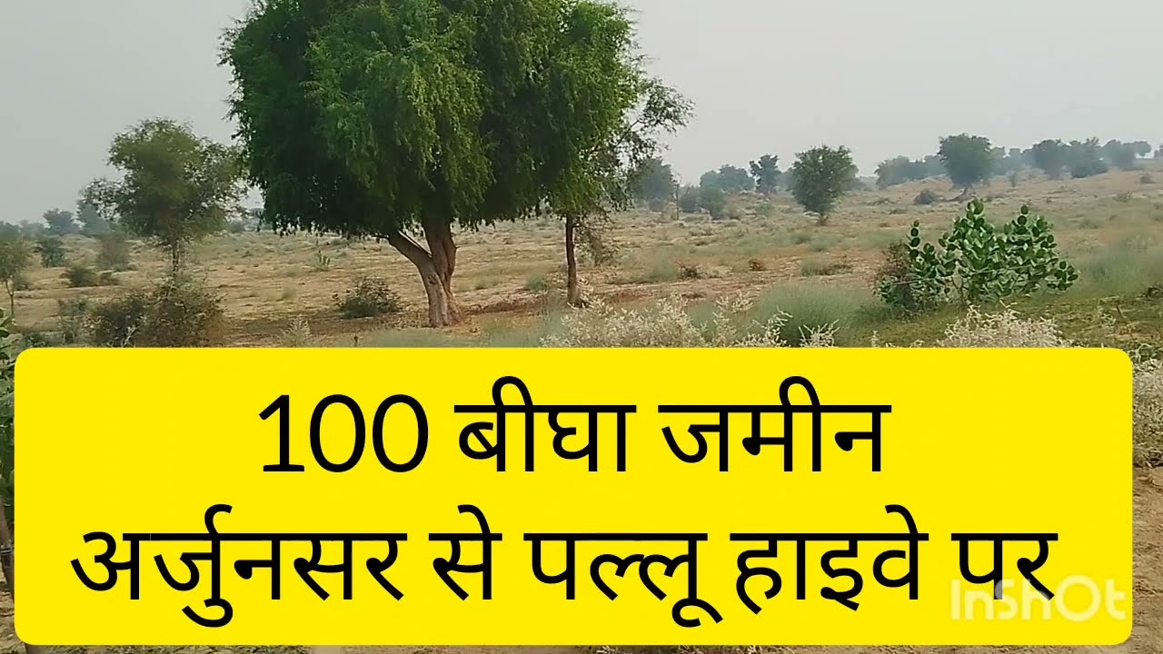 100 बीघा जमीन अर्जुनसर से पल्लू हाइवे पर #अर्जुनसर #bikaner  9215959500